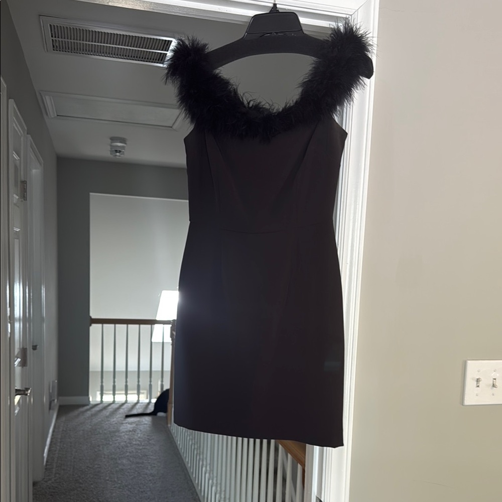 Elegant Black Dress with Feather Trim